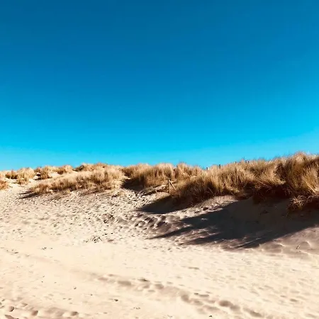 Duintje-de Haan